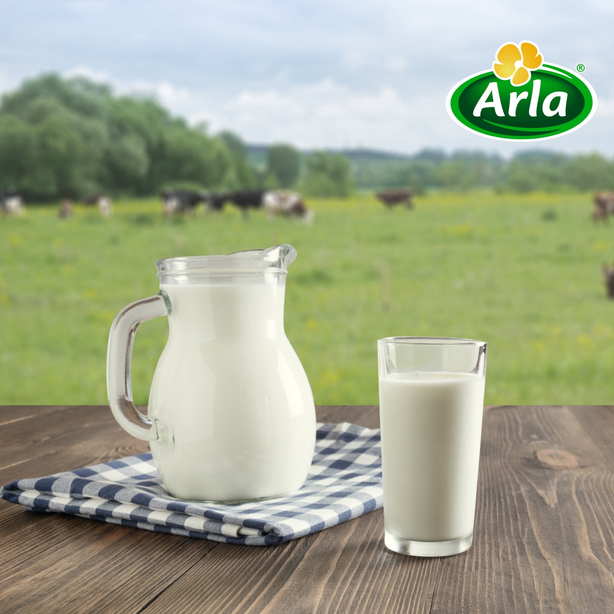 Arla case