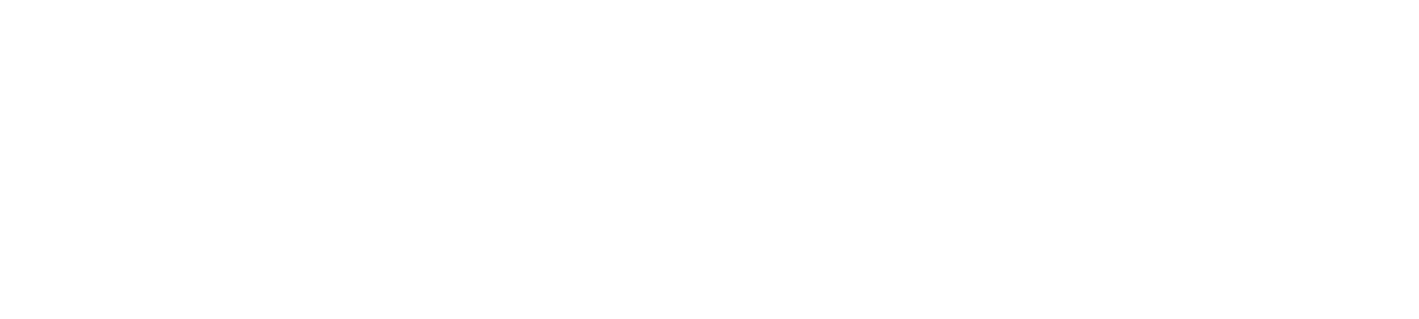 HUS-logo-w