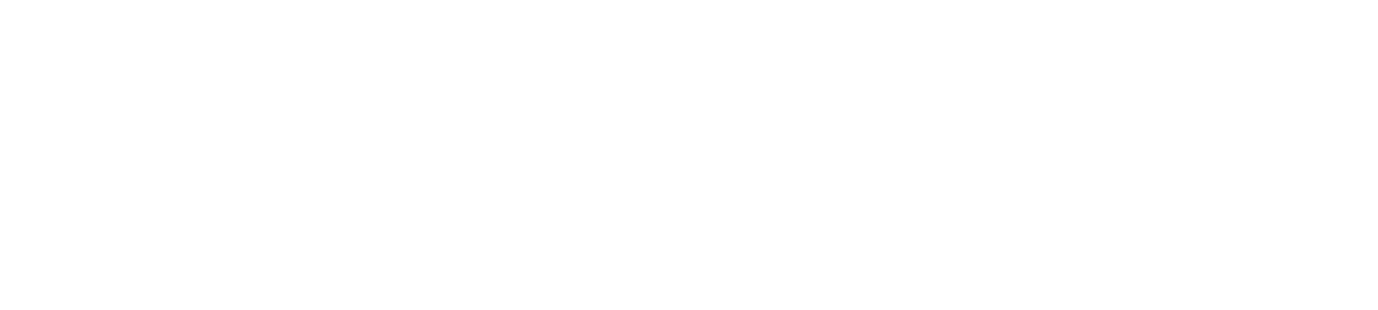 essote logo white