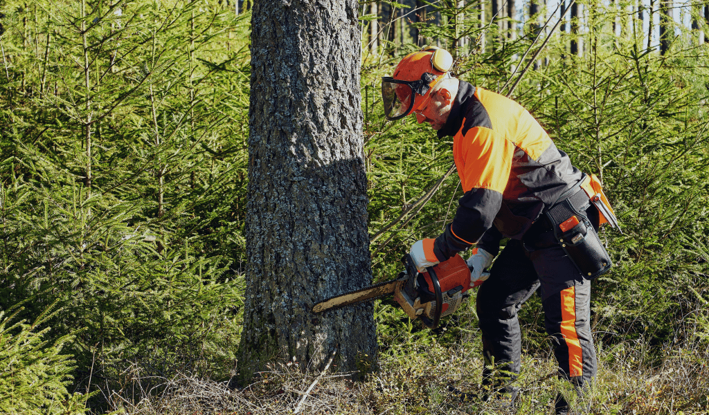 professional-lumberjack-with-protective-workwear-chainsaw-working-forest